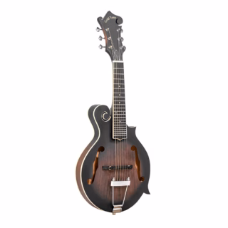 gold tone f-6 mando-guitar 1