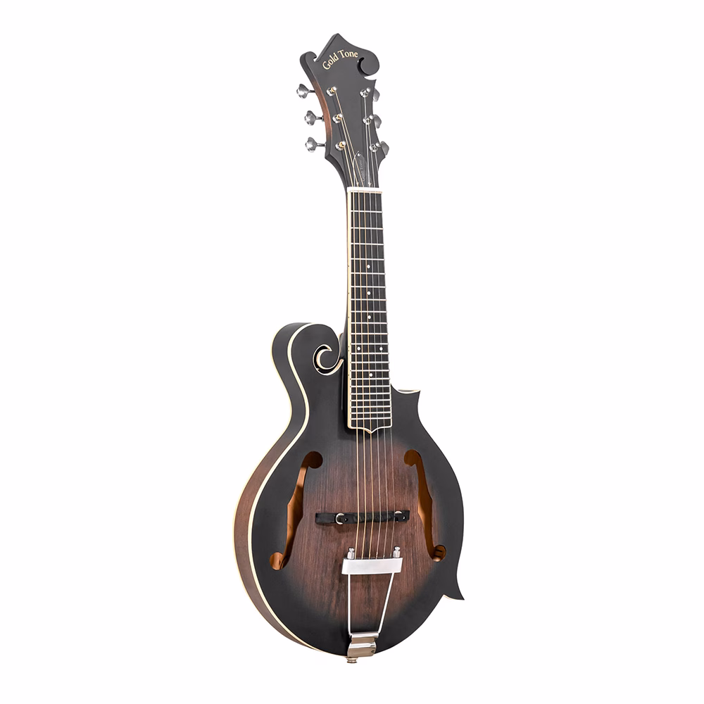 gold tone f-6 mando-guitar 1