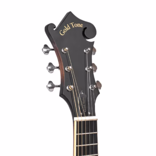 gold tone f-6 mando-guitar 3