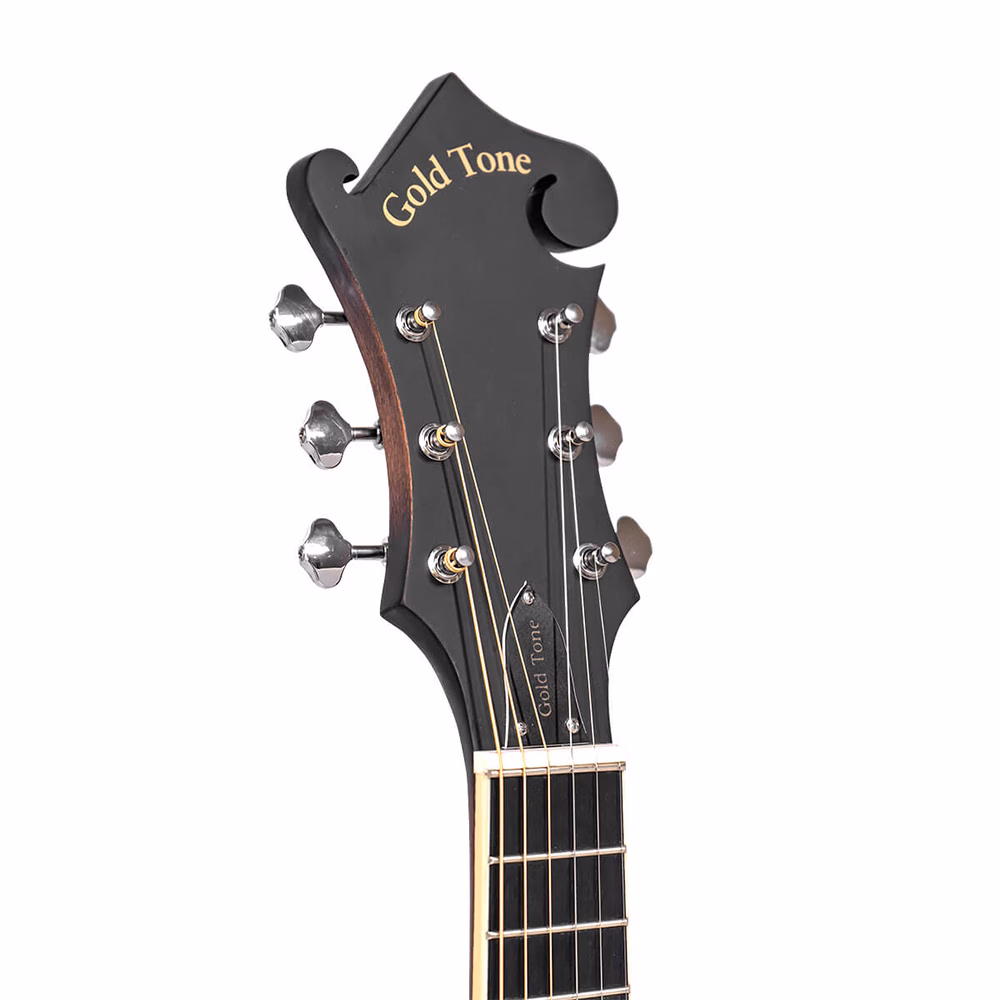gold tone f-6 mando-guitar 3