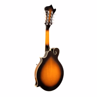 gold tone gm-35 mandolin 2