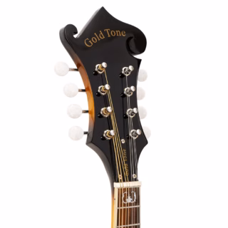 gold tone gm-35 mandolin 3