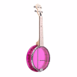 gold tone lg-d banjolele amethyst 1