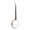 gold tone mm-150 banjo 1