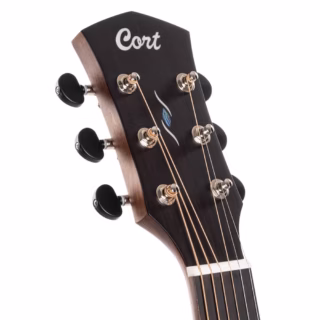 cort core ga blackwood acoustic electric guitar 3