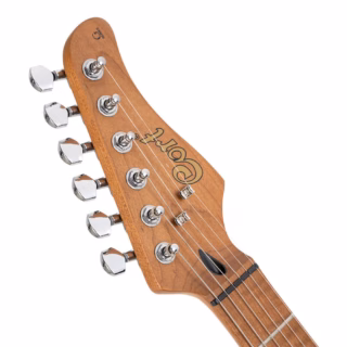 cort g250se odg 1000 3