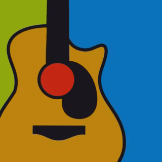 Acoustic Electric Guitar